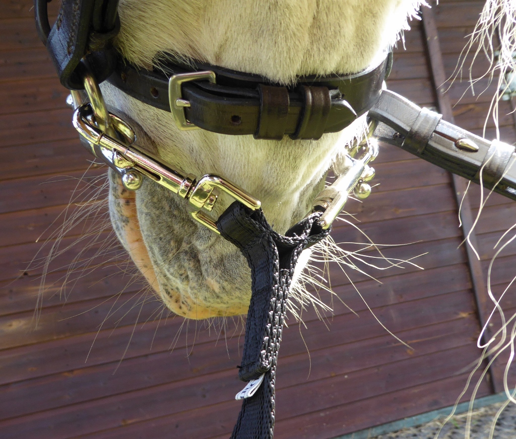 Dinky Coupling Lead Rein