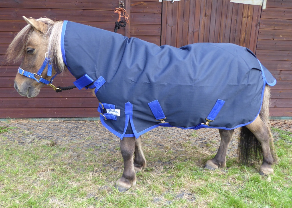 MIDDLEWEIGHT 250GMS SHETLAND TURNOUT RUG WITHOUT NECK 3'3" TO 4'6" 