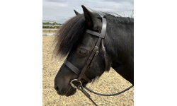 best_snaffle_bridle_crx