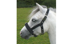 deluncav_herm_1329220636