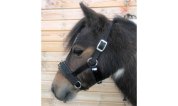 deluncav_new_mini_crx