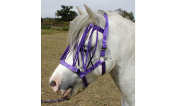 dhclshff_purp