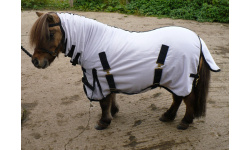 drclanms_dinky1_1024x735_327098341