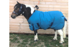 drclsmwi_teal1_crrsx