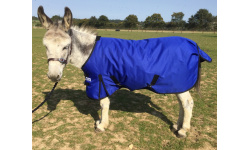 Donkey Rugs