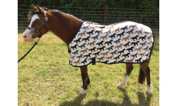 drnovfle_ch_1024x768_1519243551