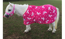 drnovfle_pu_gem_1024x676_1470660532