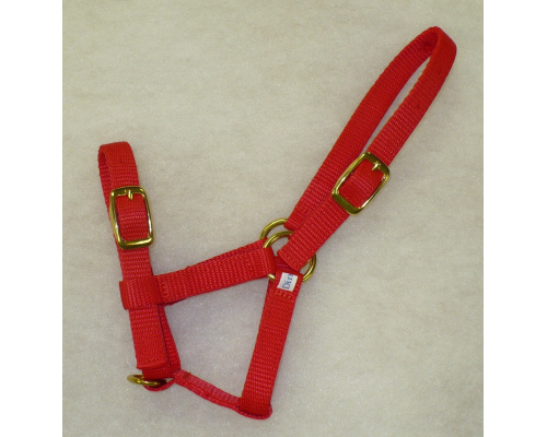 dhmifohe_red