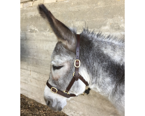 dlsellhc_l_donkey_922x1024