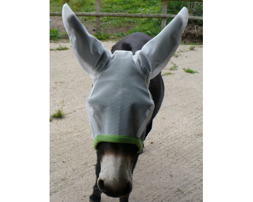 dmammaea_daz2_2103298461