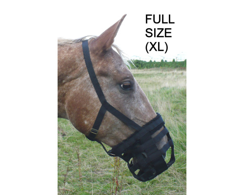 dmclgraz_xl