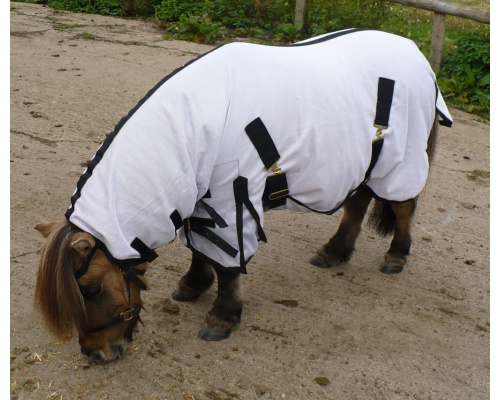 drclanms_dinky2_1024x853