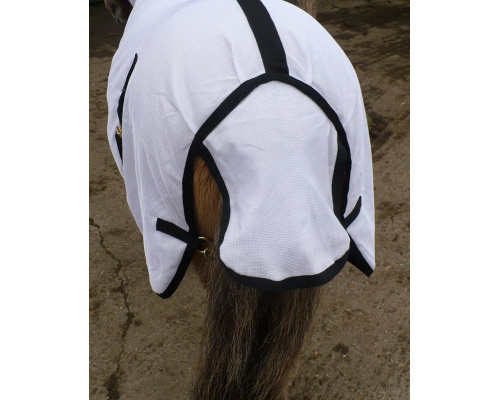 drclanms_dinky3_823x1024