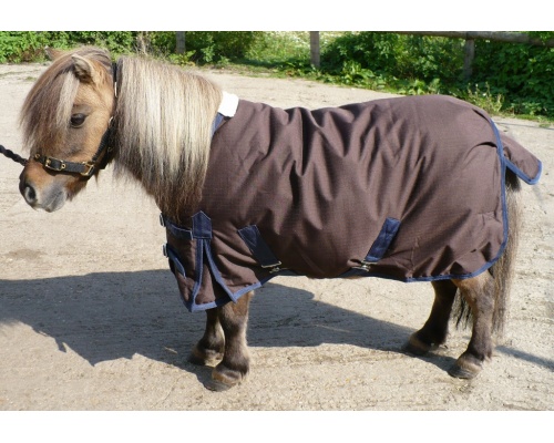 drclsmwi_dink1_1024x703