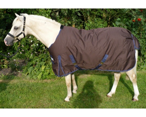 drclsmwi_katy_1024x701