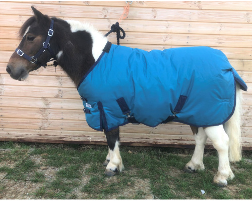 drclsmwi_teal1_crrsx