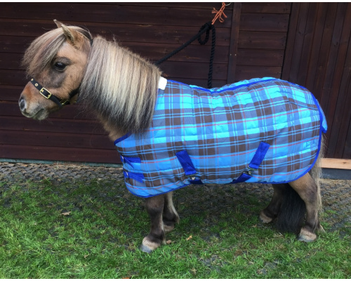 drclsssr_dink_1024x808