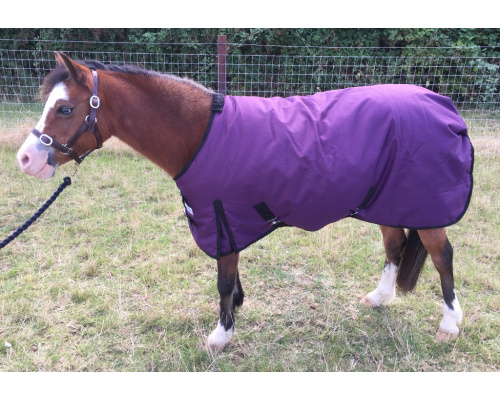 drclxdhy_plum_bella_1024x705_741176678