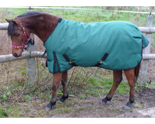 drclxdhy_rossi_1199691290