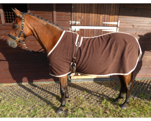 drcustfl_ros1_1024x775_994790363