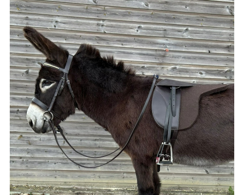 felt_saddle_daz1crxrscr