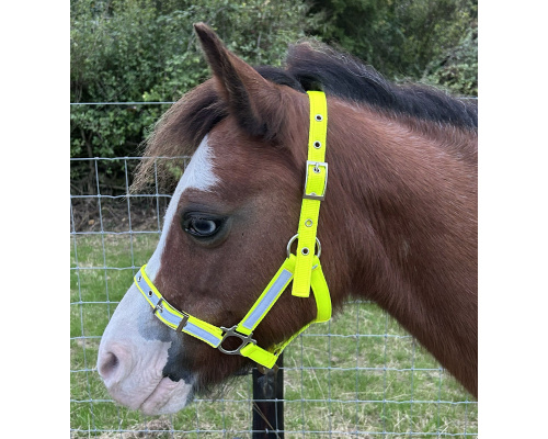 high_vis_headcollar1xrs