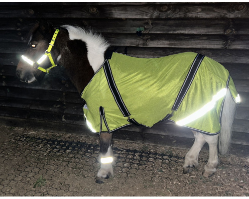 highviz1xrs
