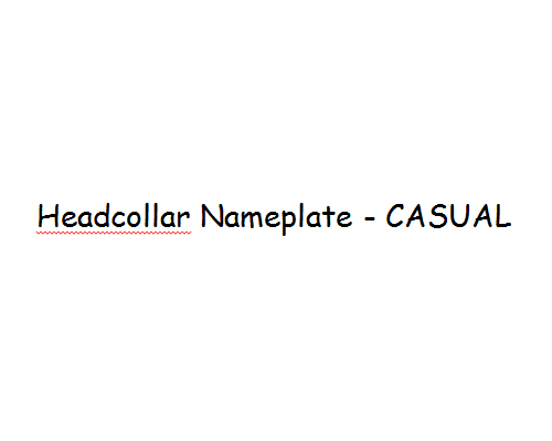 nameplate_font_casual_1227439802