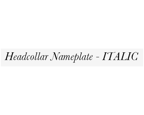 nameplate_font_italic_229394449