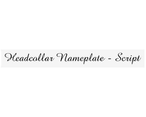 nameplate_font_script