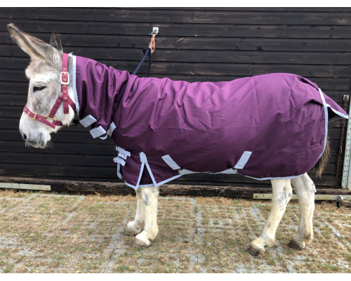 plum_combo_haag_rs